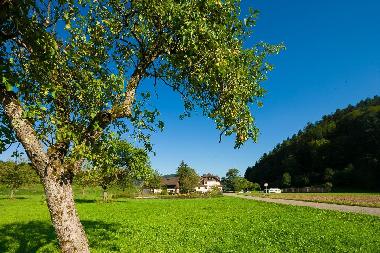 Landgasthof Kinzigstrand Biberach bei Offenburg Dış mekan fotoğraf